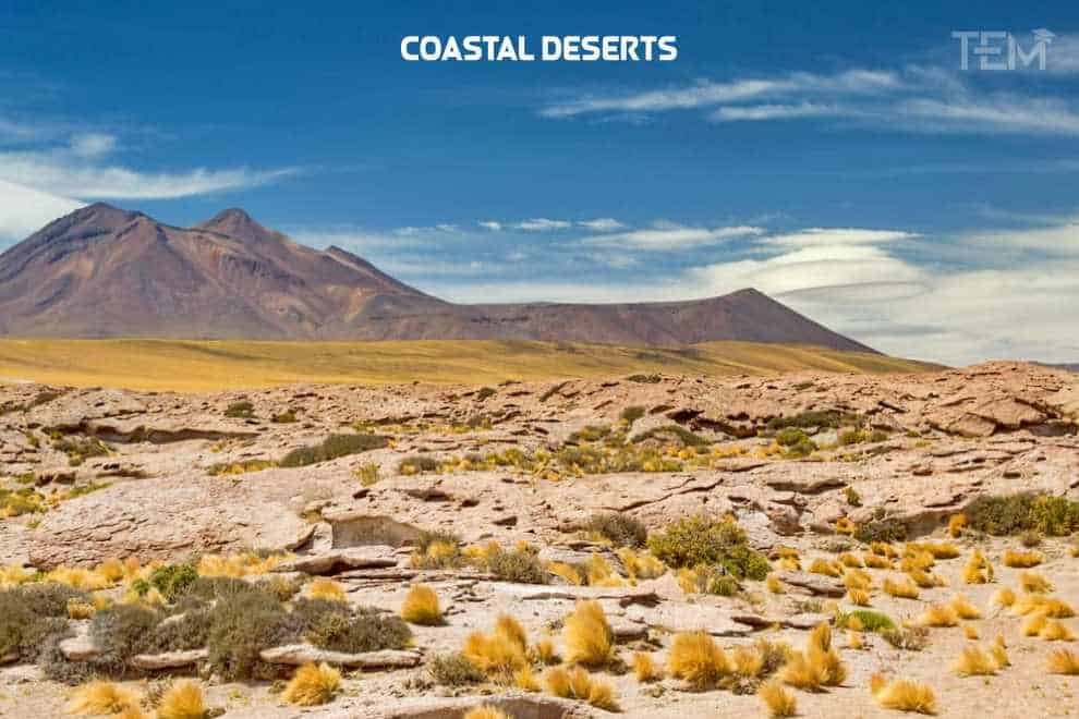 Coastal Deserts Coastal-Deserts