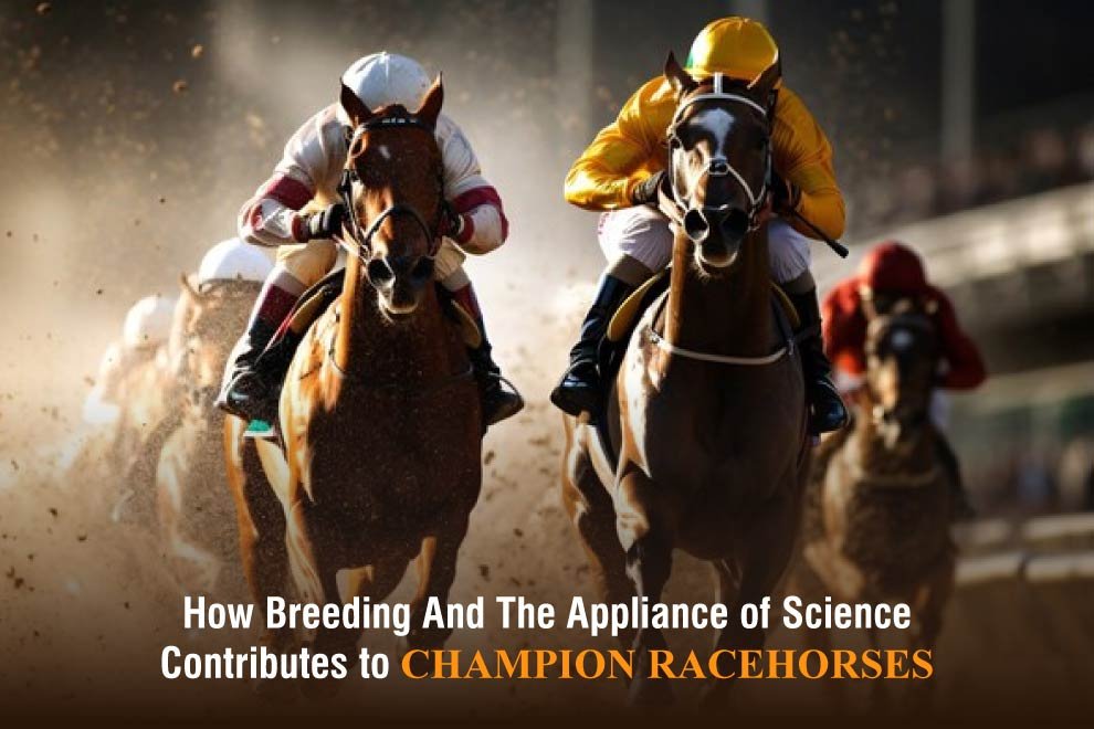 Racehorses