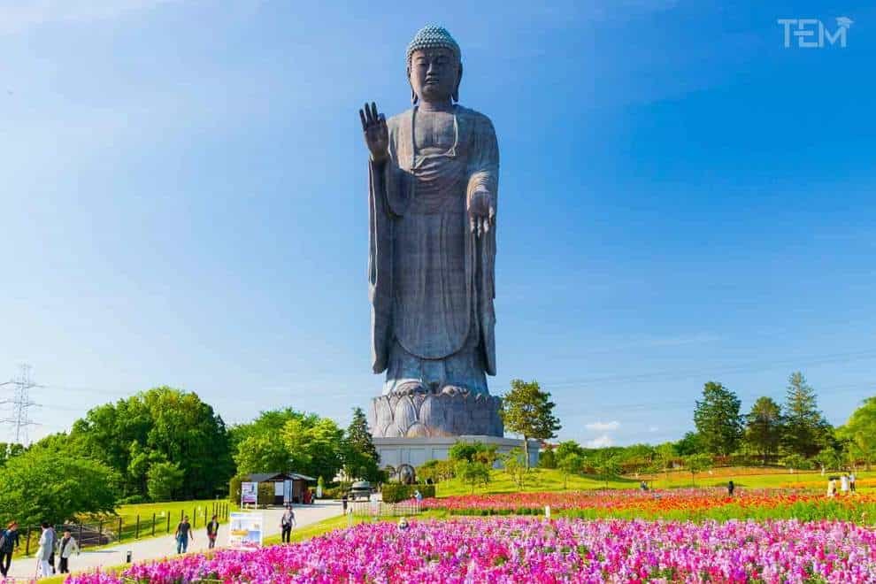 Largest statues in the word you will like to read about largest-statues-in-the-world-Ushiku-Daibutsu