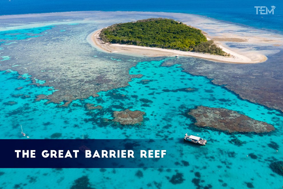 The Great Barrier Reef The Great Barrier Reef