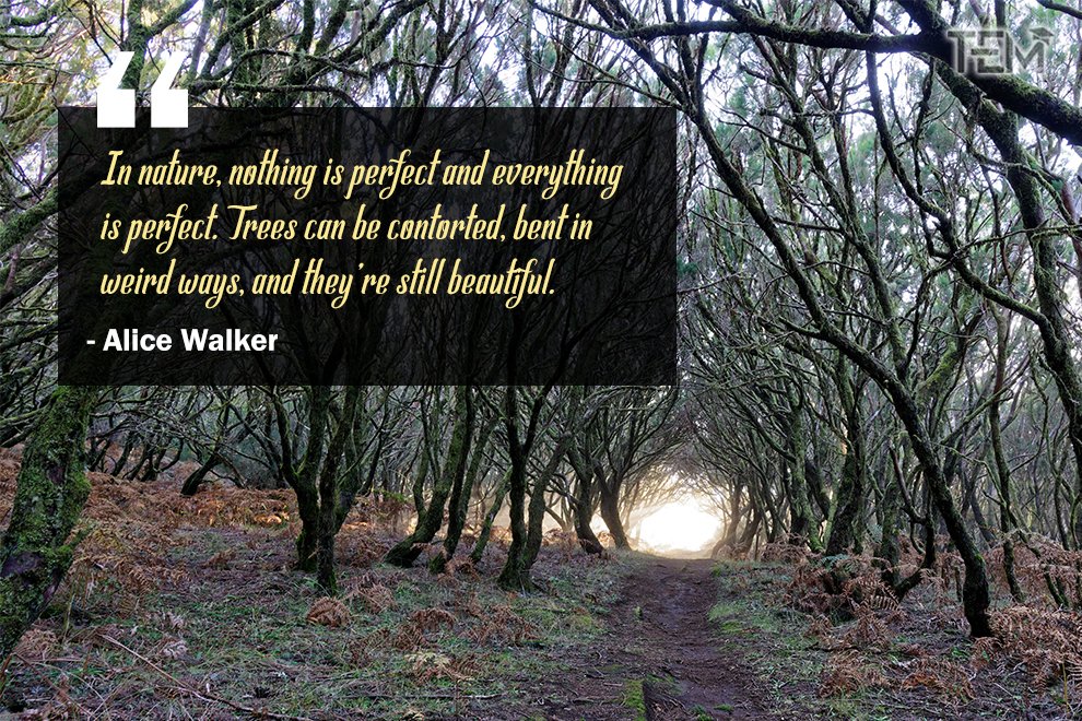 Nature Quotes by Alice Walker Nature-Quotes-Alice-Walker