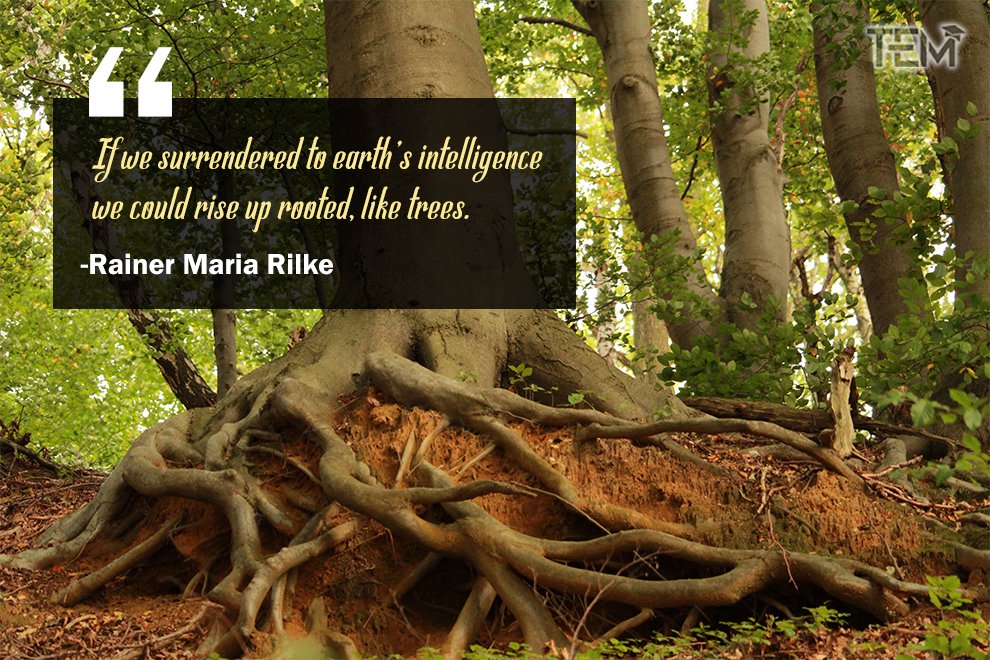 Nature Quotes by Rainer Maria Rilke Rainer-Maria-Rilke