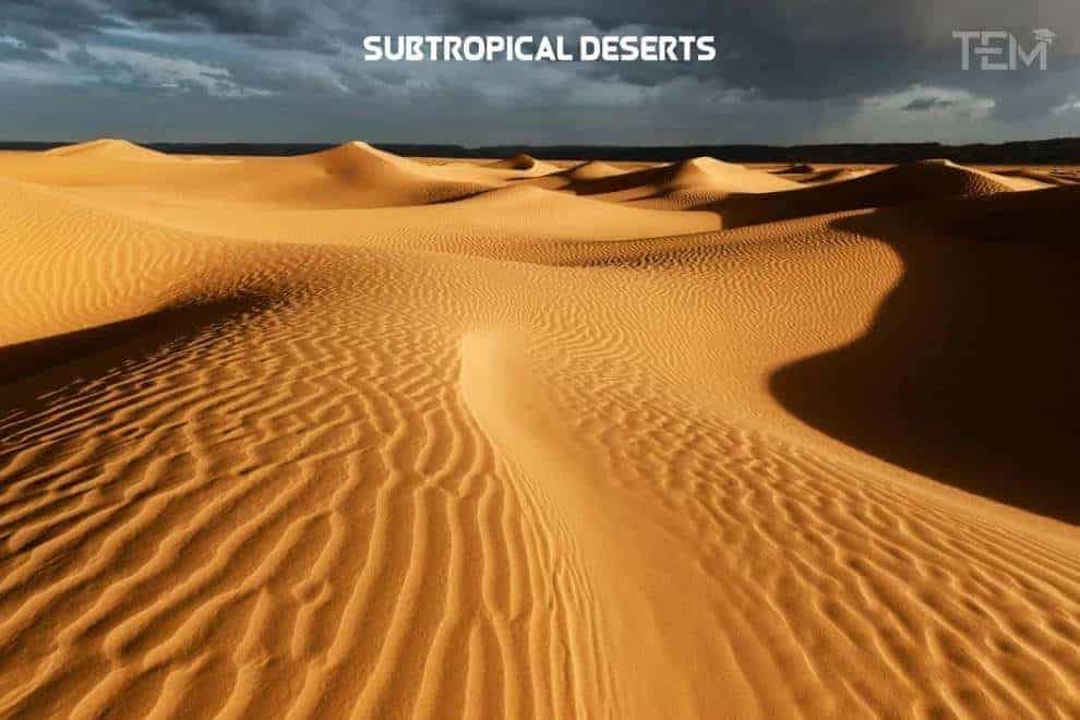 Subtropical Deserts Subtropical-Deserts