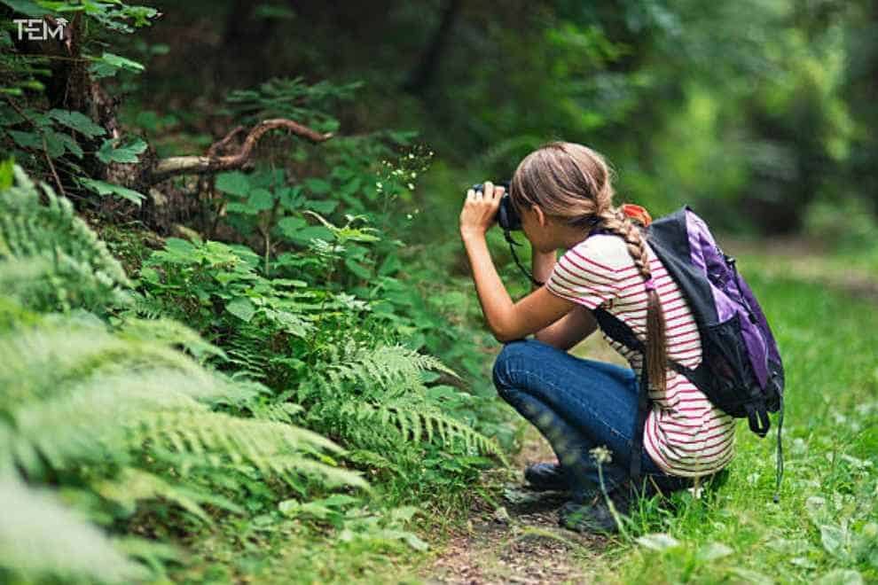 The Importance of Eco-tourism: The-Importance-of-Eco-tourism